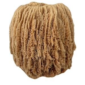 Large Natural Unbleached Sea Sponge - Perfect for Display!  9" x 8" x 8"